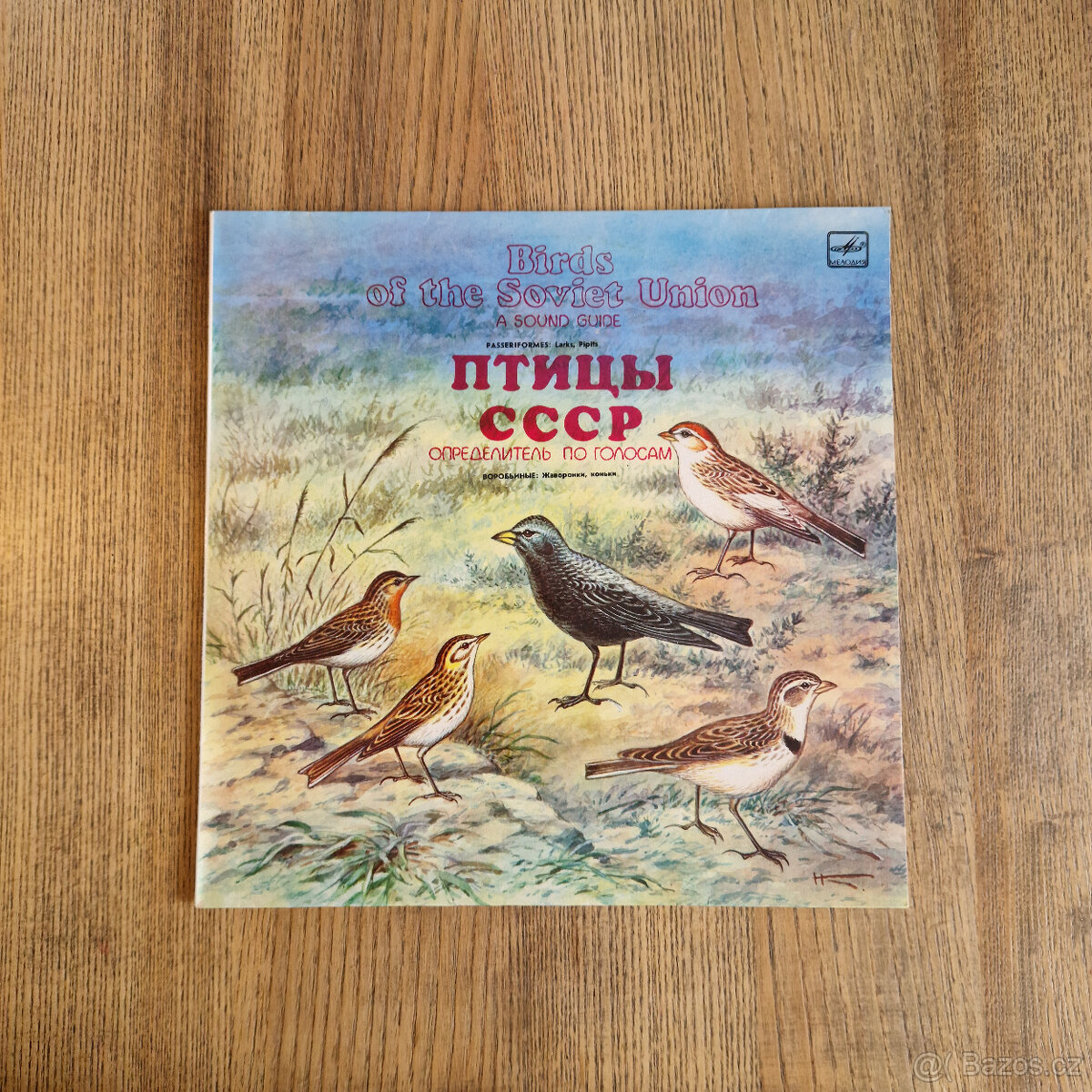 22x LP vinyl, české, různé žánry #4