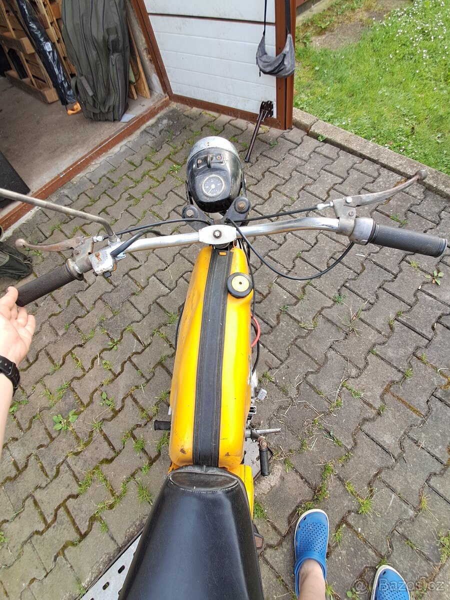 Jawa mustang
