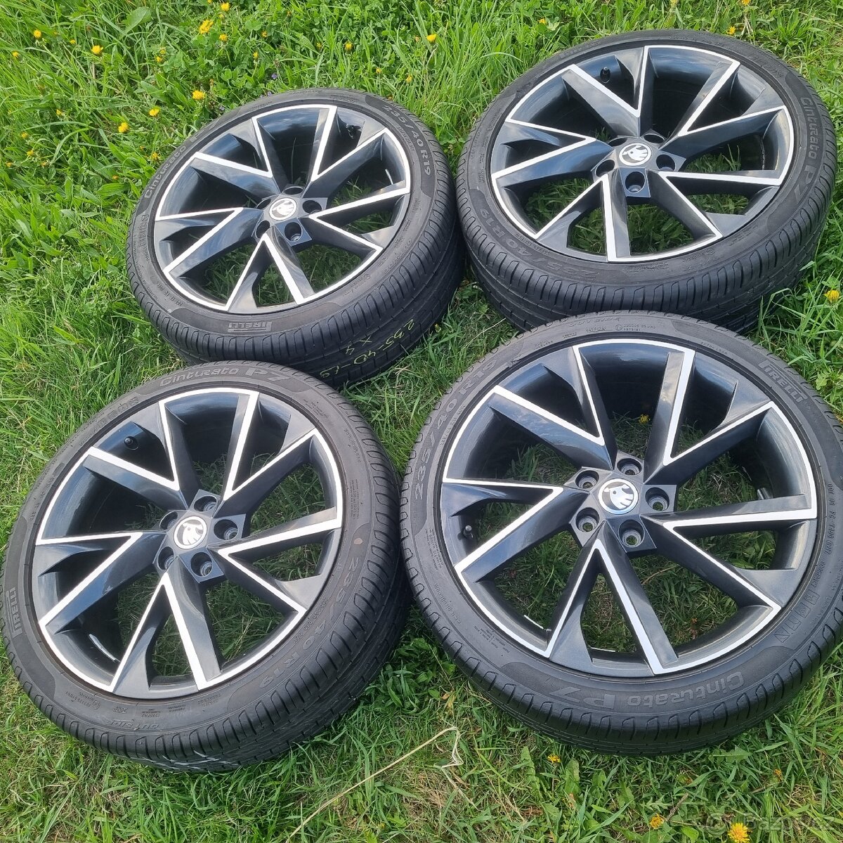 Vega sada R19 Superb Karoq