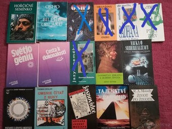 Motivačná literatúra