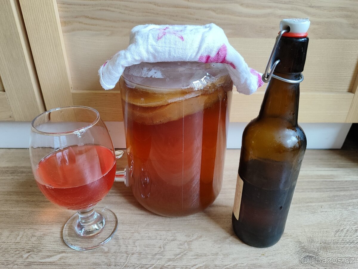 Kombucha Scoby Nápoj