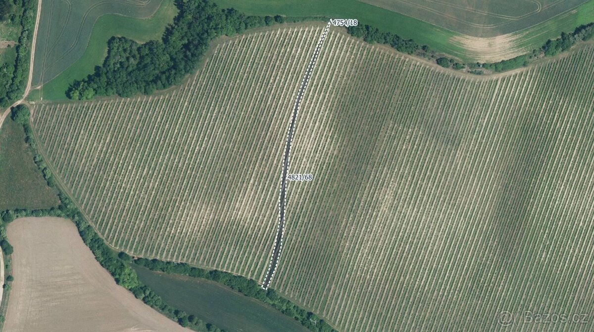 Sady, vinice, prodej, Vracov, Hodonín