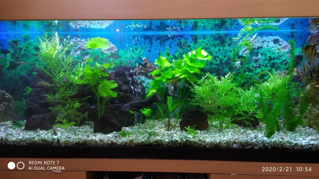 Prodám akvárium + příslušenství