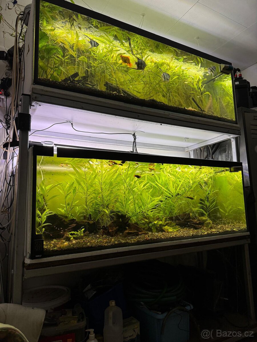 Akvárium 2x450l