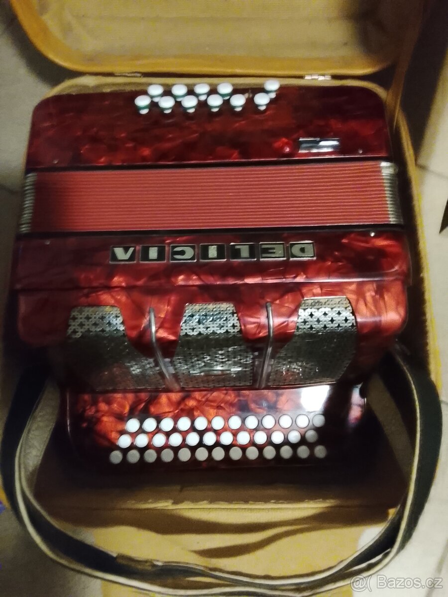 Knoflíková harmonika