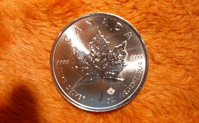 Prodám investiční stříbrné mince Maple Leaf 1oz