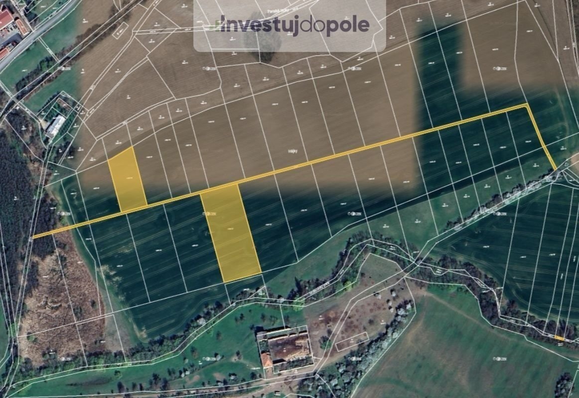 Prodej pole v k.ú. Osvětimany, ev.č. 2025-08-06-1