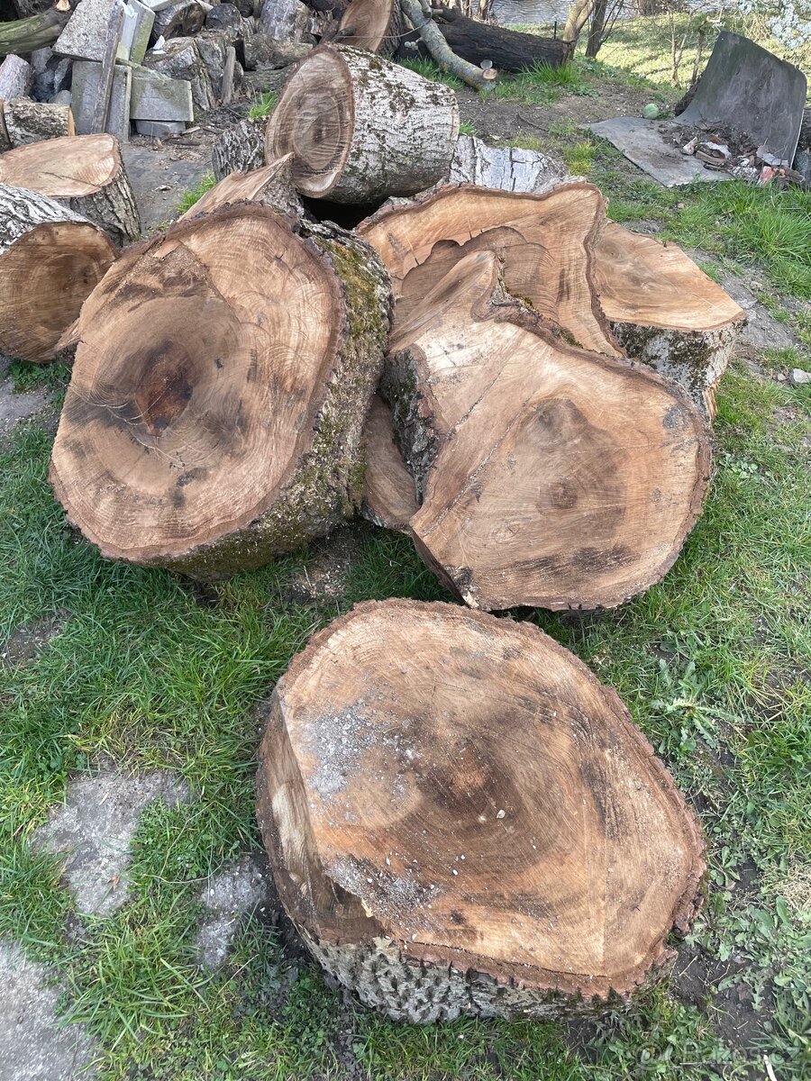 Ořechové dřevo - pařezy