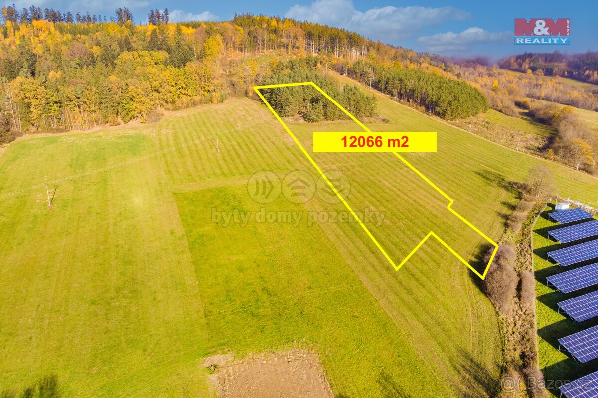 Prodej pole, ostatní plocha, les 21407 m², Mochtín-Kocourov