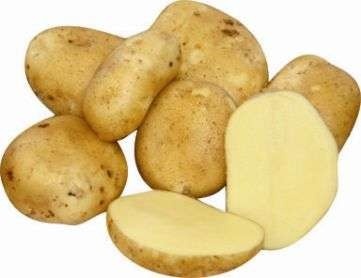 Sadbové brambory