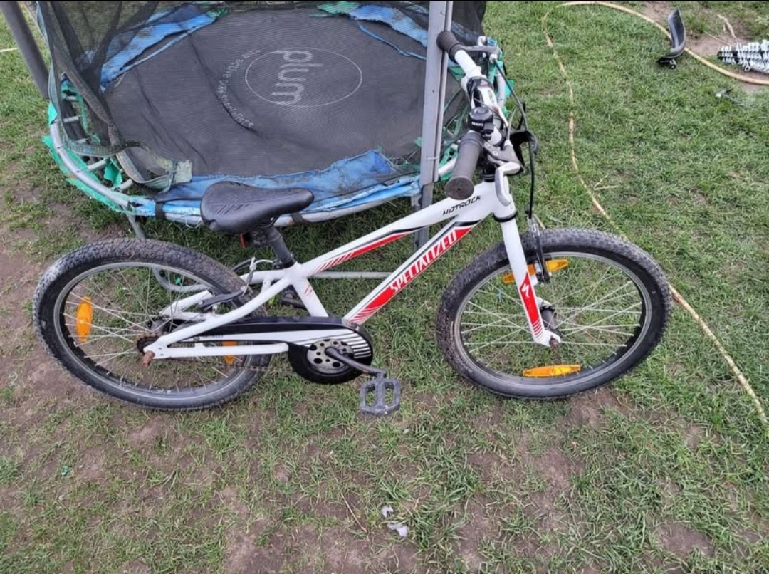Kolo Specialized 20