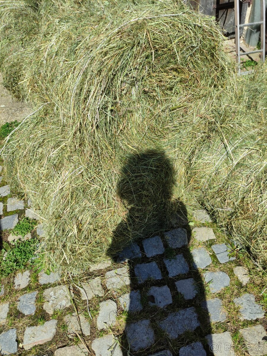 Seno - malé kulaté balíky