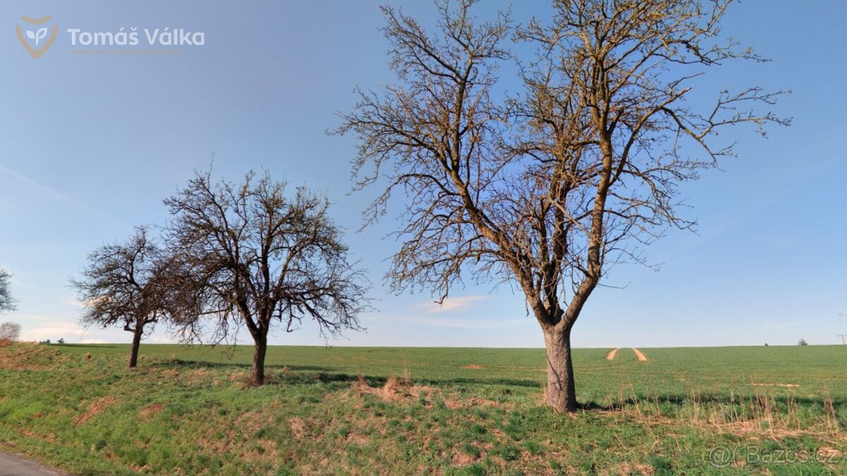 Prodej zemědělské půdy 1,6 ha - kú Újezdsko