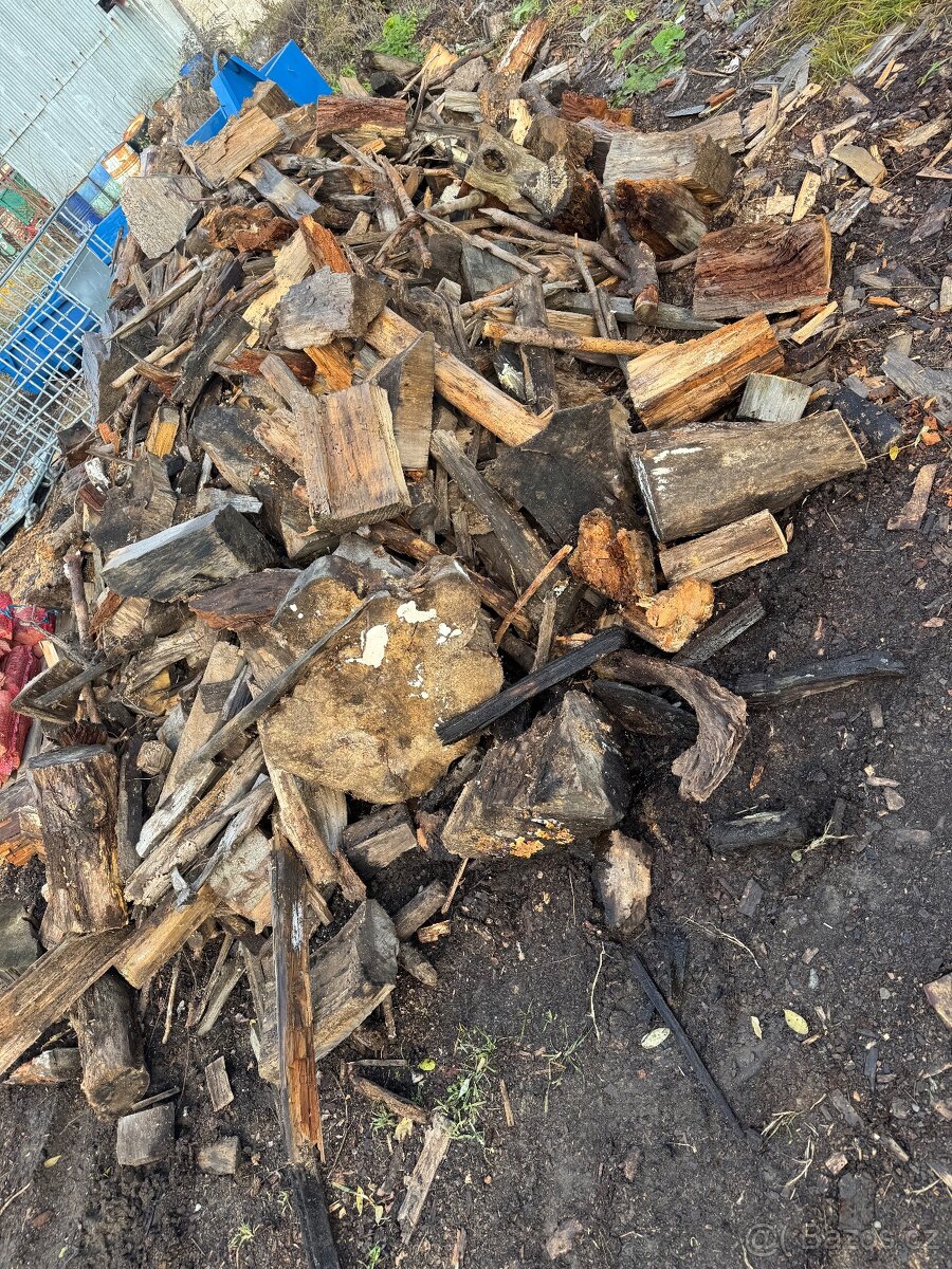 Palivové dříví. Úklid 500kč/m