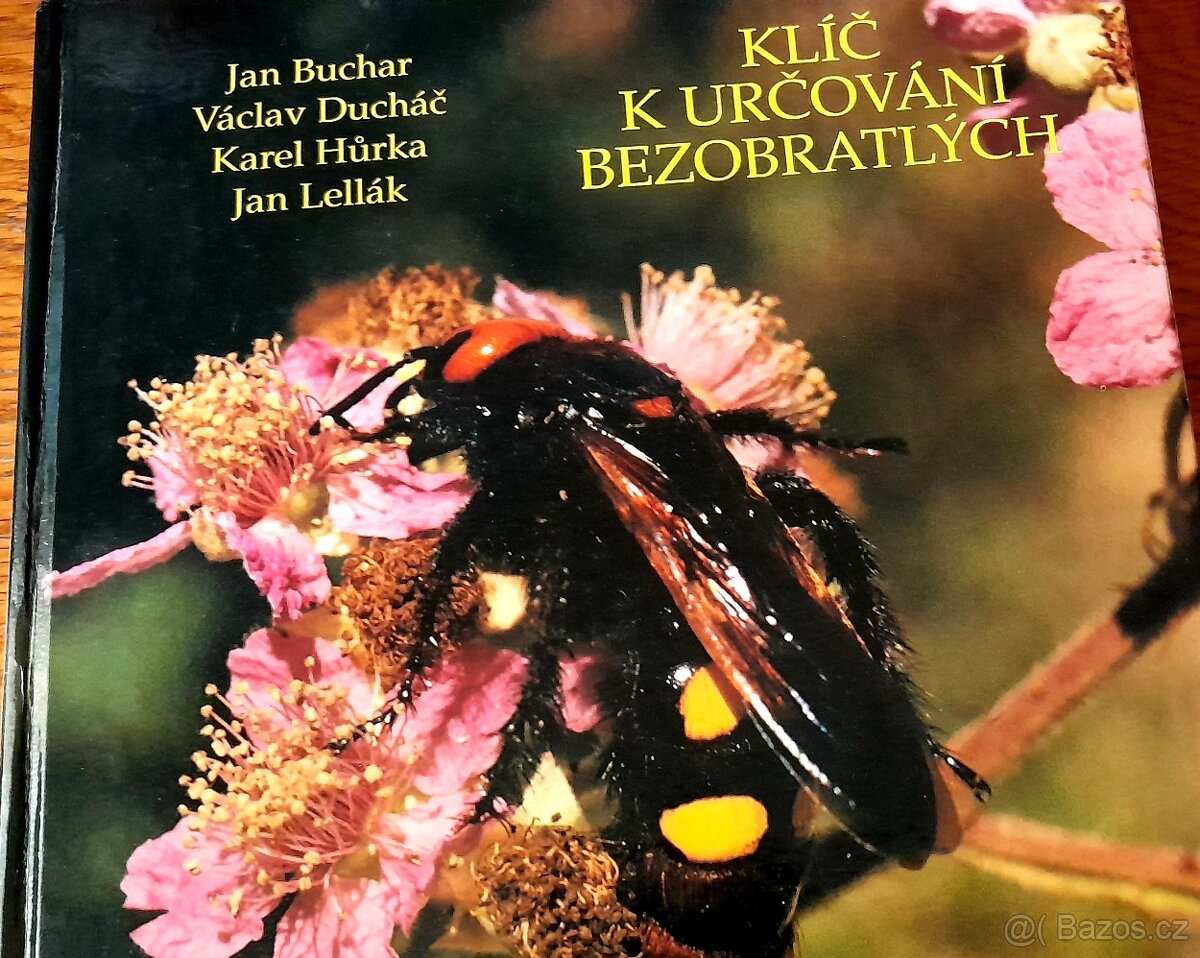 KLÍČ K URČOVÁNÍ BEZOBRATLÝCH