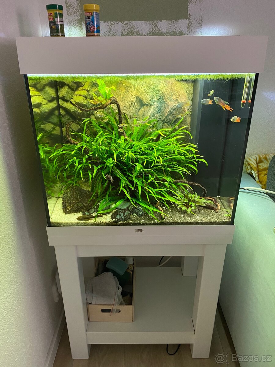 Prodám akvárium Juwel Lido 120 LED bílé
