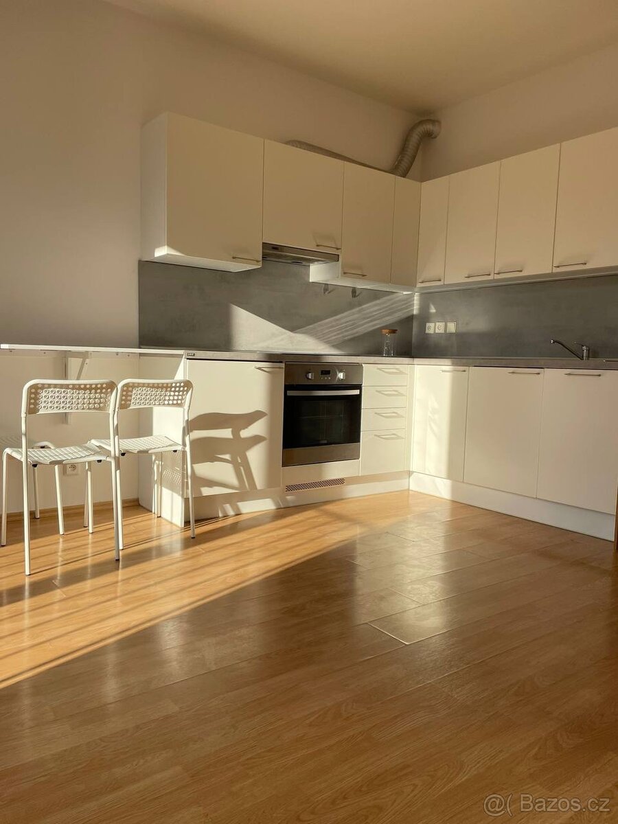 Pronájem bytu Žižkov