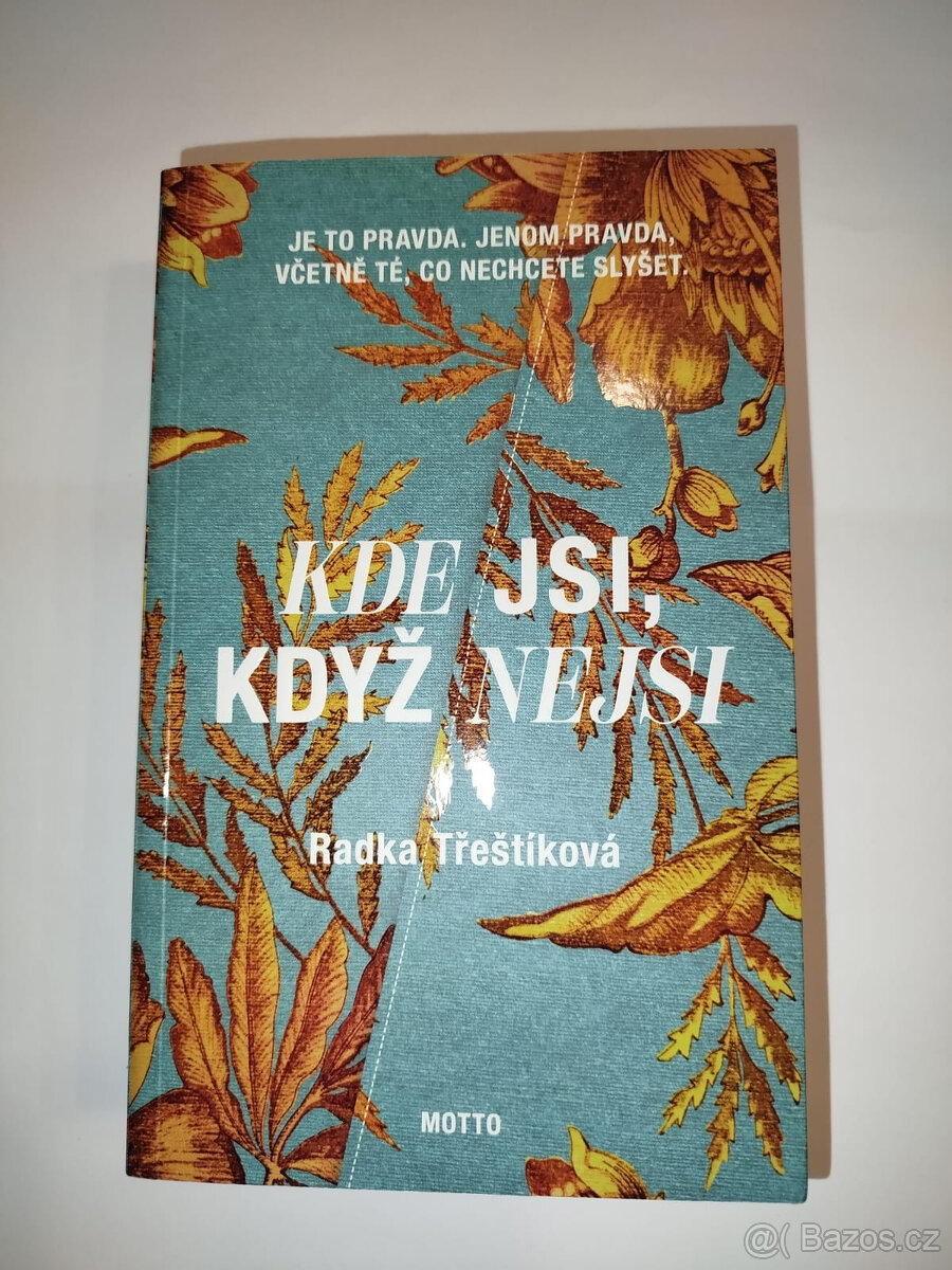 Kde jsi, když nejsi- Radka Třeštíková