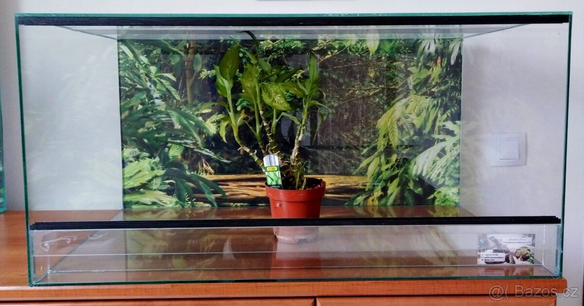 Terarium 80x40x40 nové, sila skla 5 mm,polyuretanové pozadí,