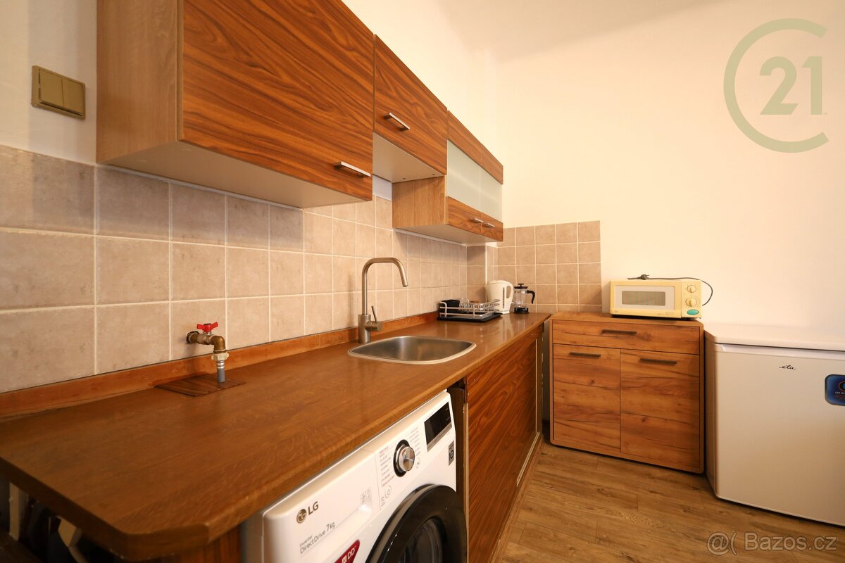 Pronájem bytu 1kk 24 m², Antonínská, Brno – střed. Sklep.