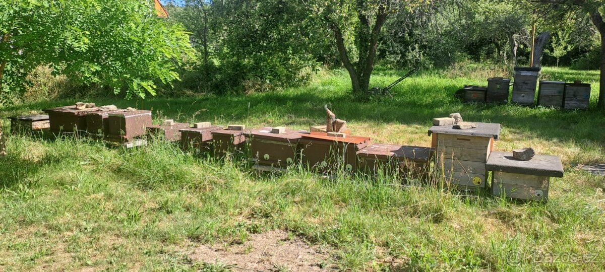Včelí oddělky 6 rámků 39x24
