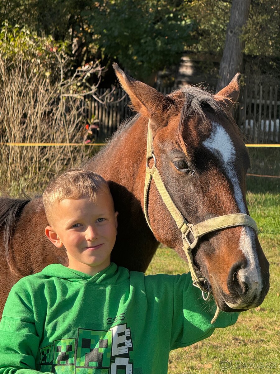 Úžasný hřebeček