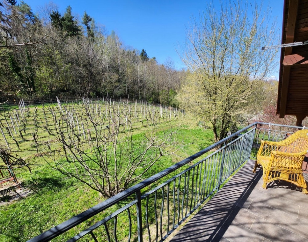 Rodinný dům ve Slovinsku v horách