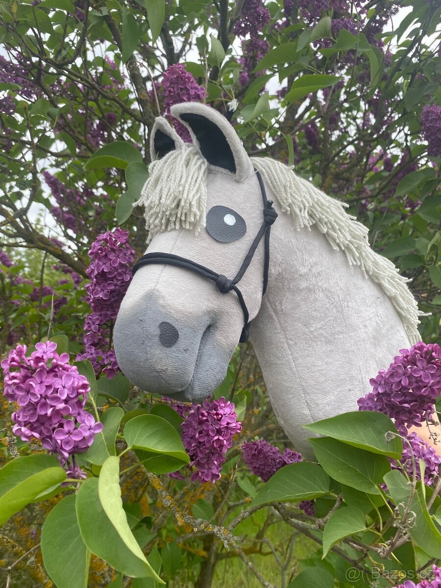 Hobby horse