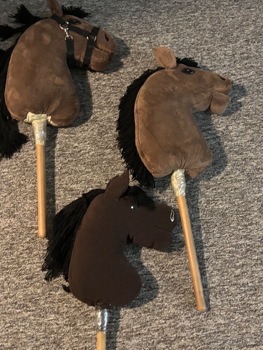 Hobby horse