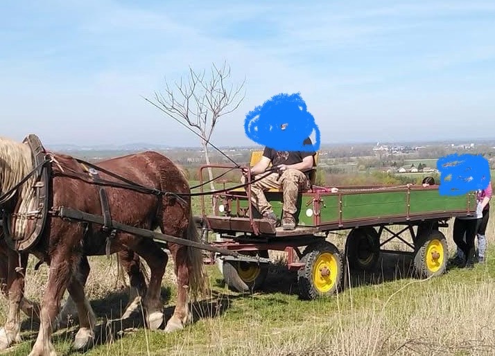 Vůz za páru