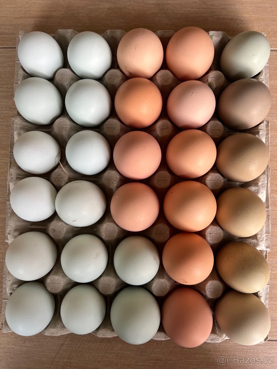 Domácí vajíčka