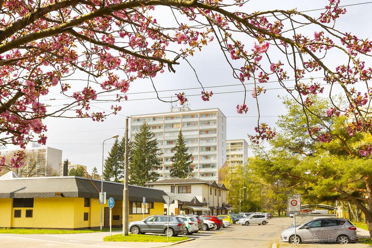 Prodej kompletně zrekonstruovaného bytu 3+kk Pardubice Polab