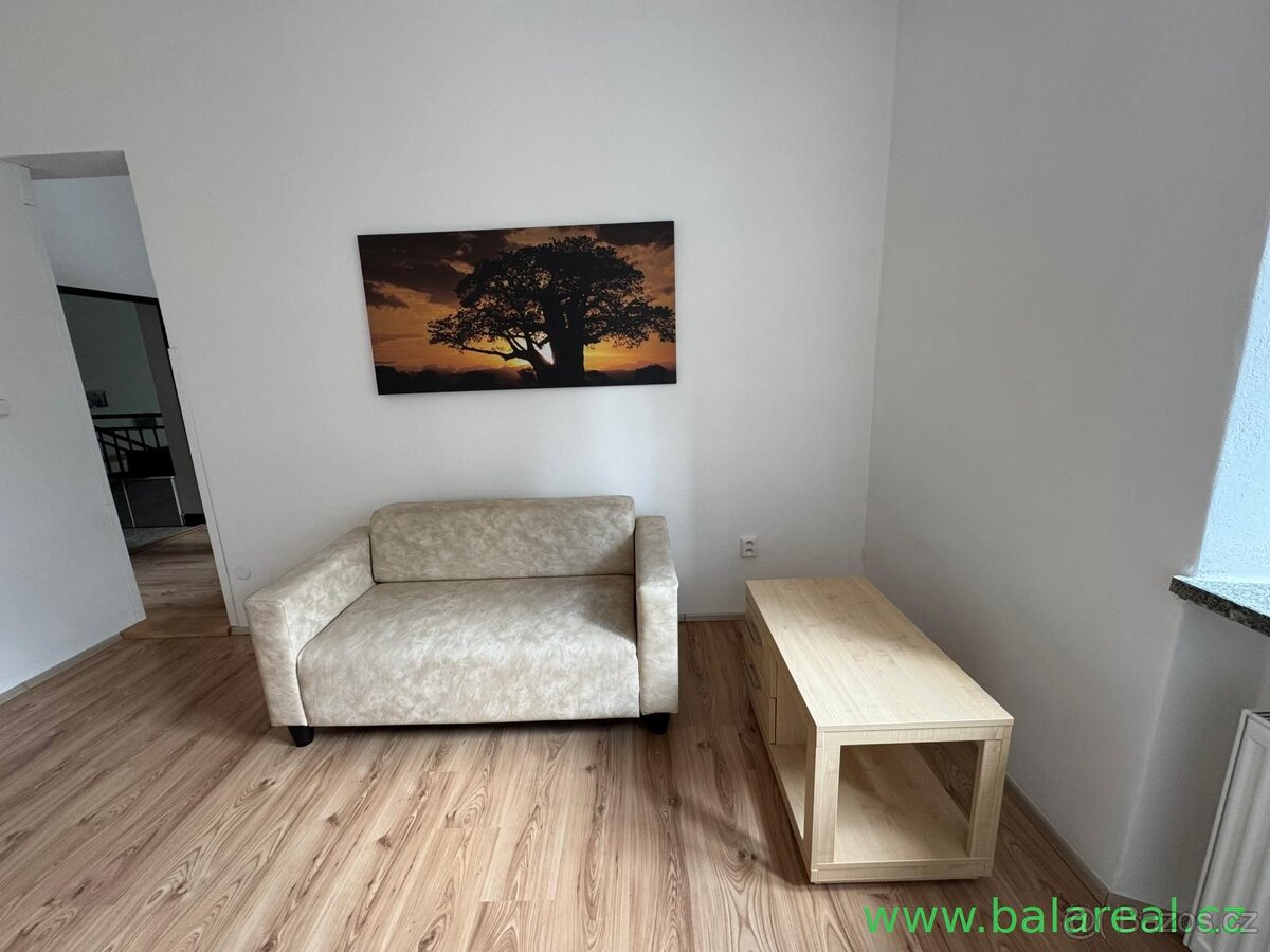 1+1 Strážek  42 m2