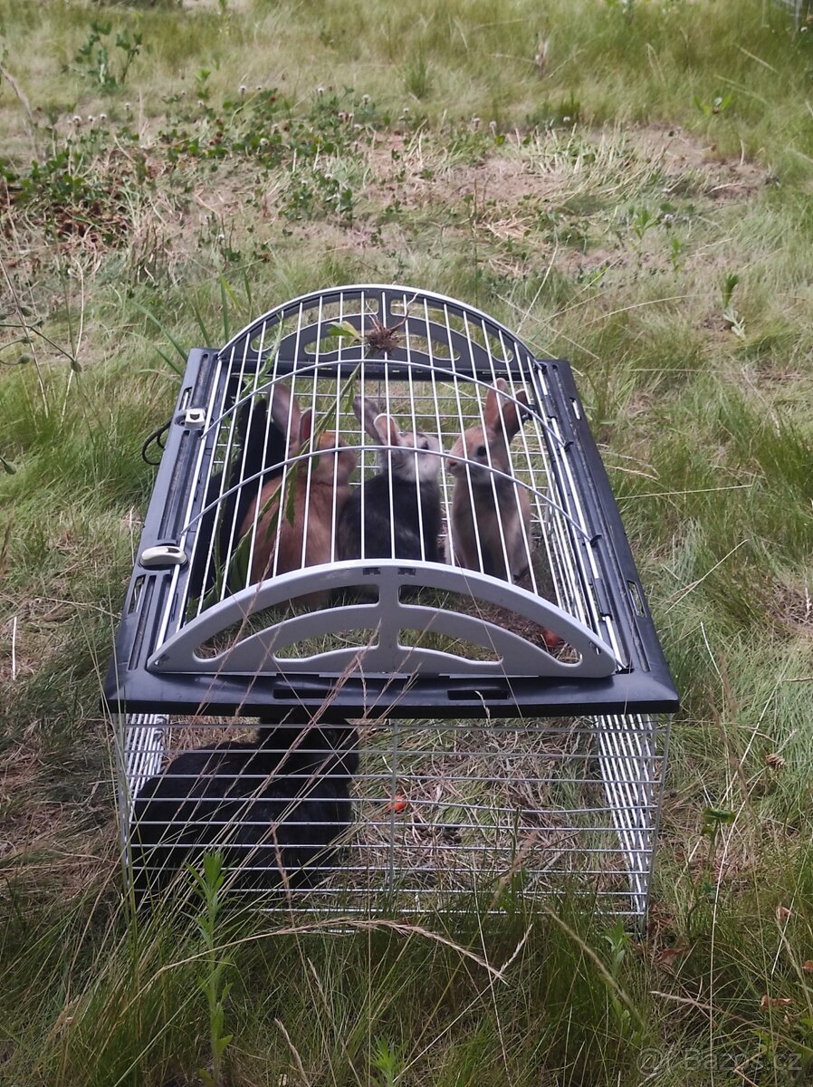 Klec pro králíka/morče