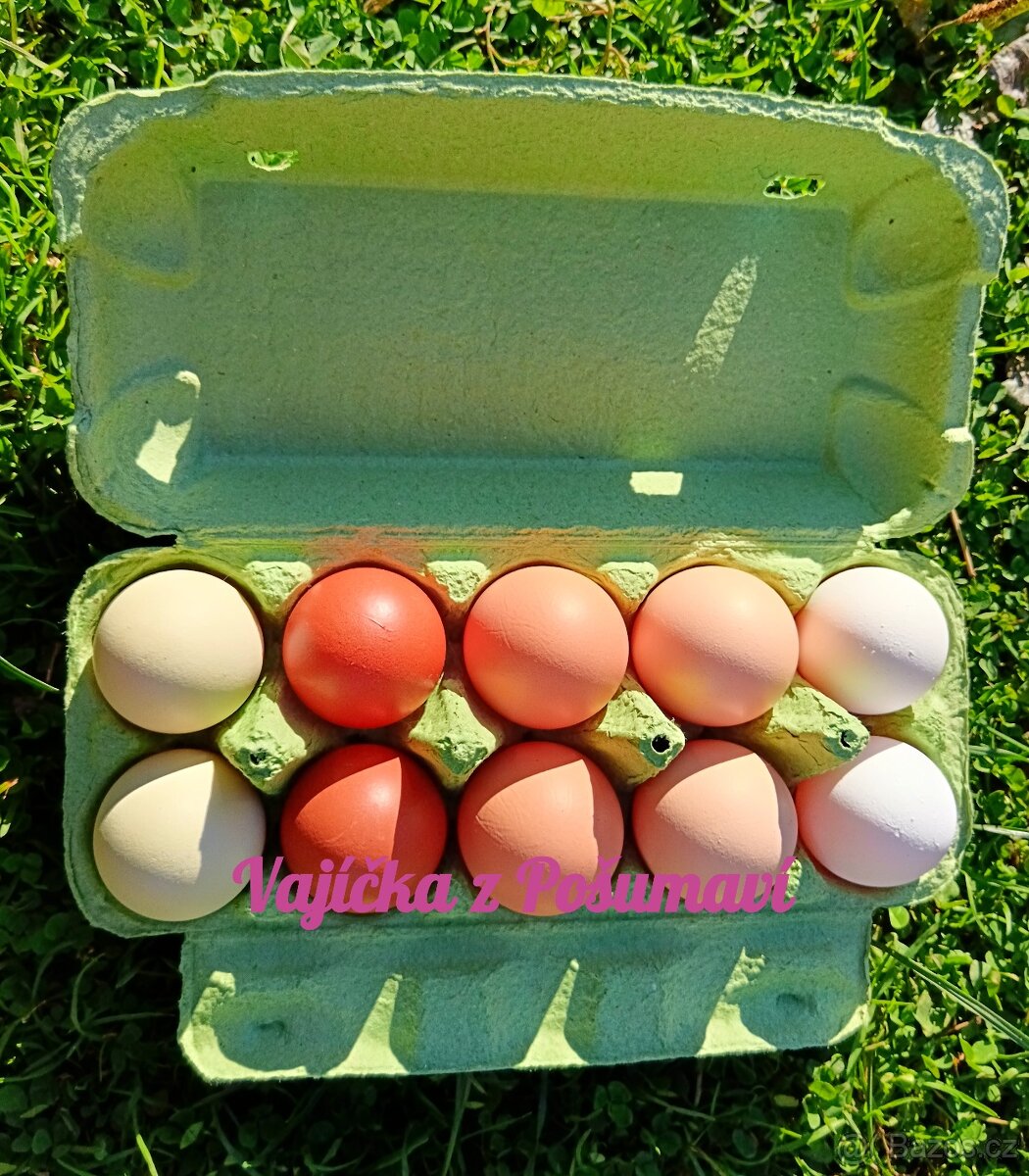 DOMÁCÍ VAJÍČKA / VEJCE 🐓🐓🐓