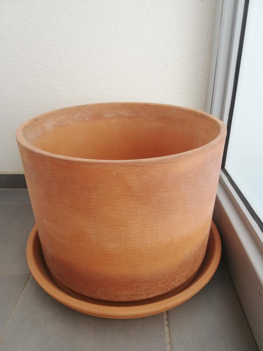 Prodám velký květník.