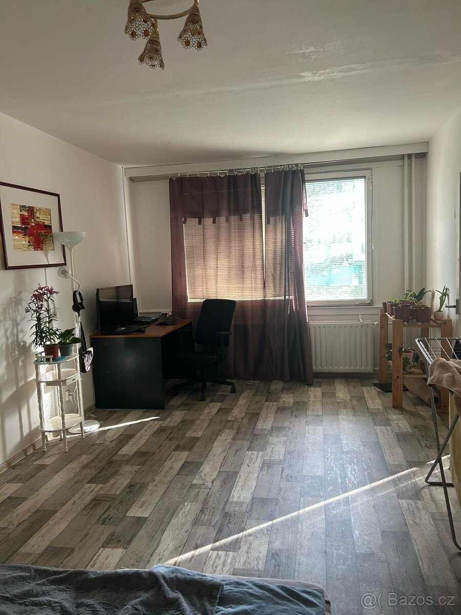 Prodej, byt 1+1, 43,7 m², Plešivec, Český Krumlov
