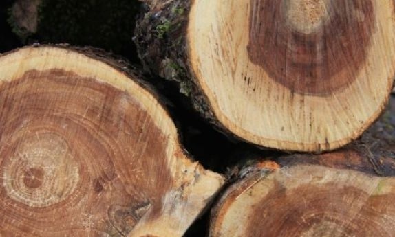 Tvrdé dřevo na topení