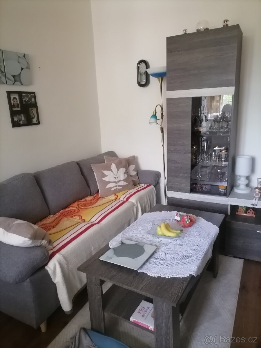 Kvůli stěhování pár věcí na prodej, nebo za odvoz.