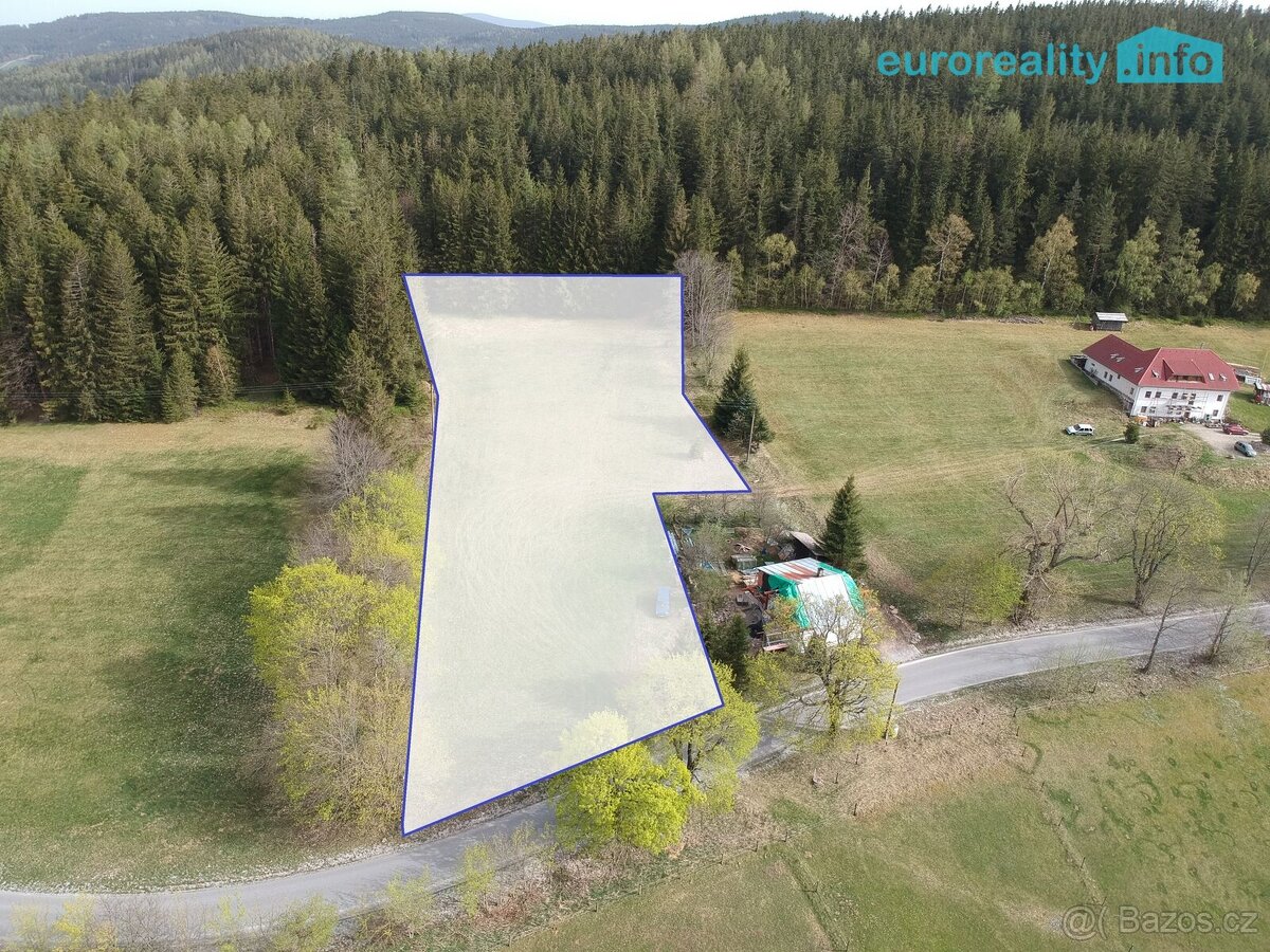 Prodej, louka, 5 869 m2, Zdíkov - Nový Dvůr
