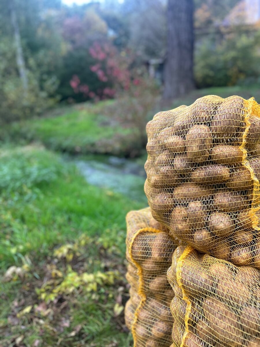 Brambory na uskladnění🥔🥔