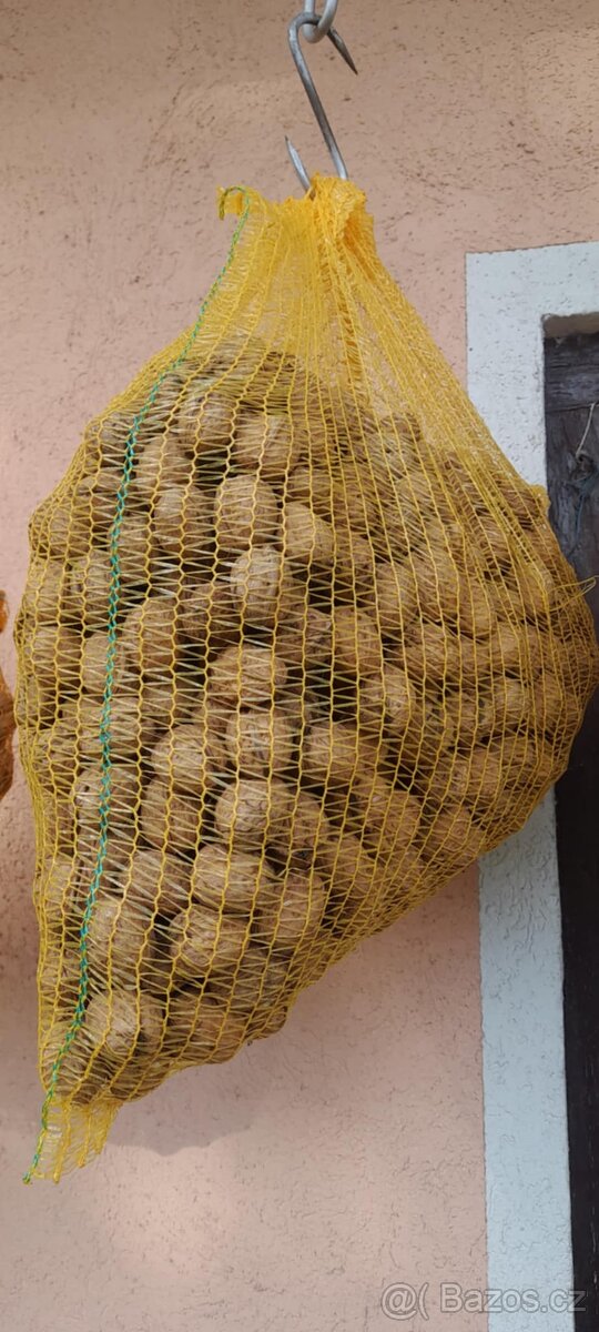 Ořechy.Vanoce.Nevyloupane Praha