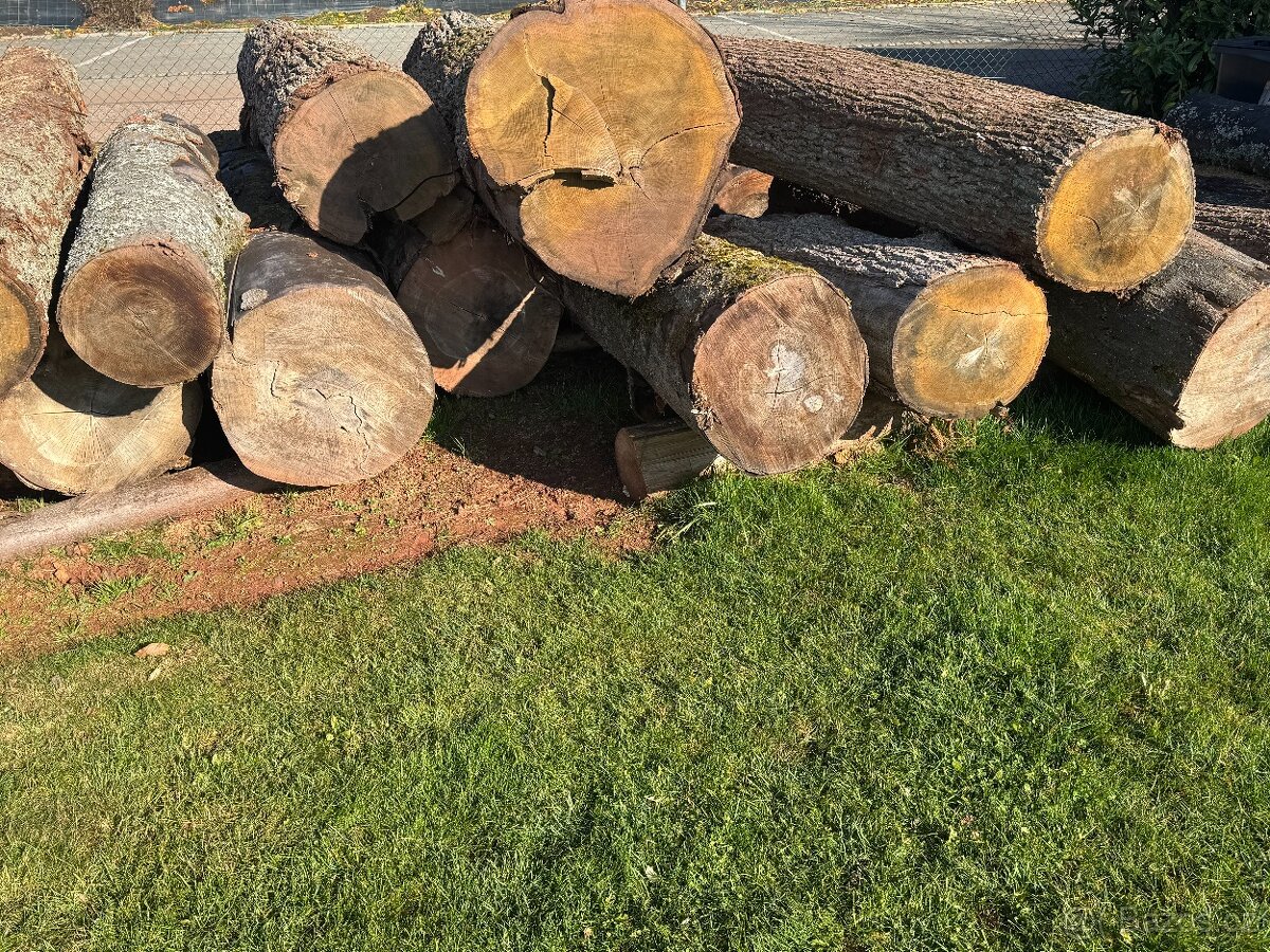 Dub pilářská kulatina - prodej