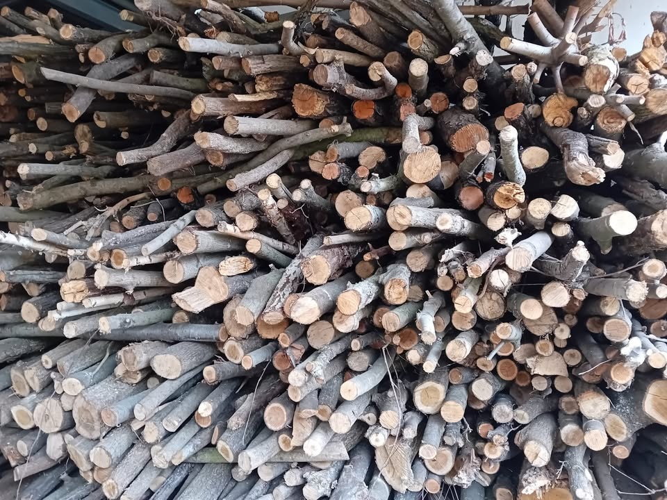 Palivové dřevo