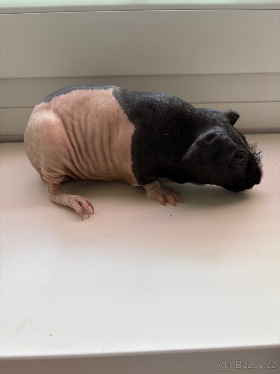 Skinny močátka
