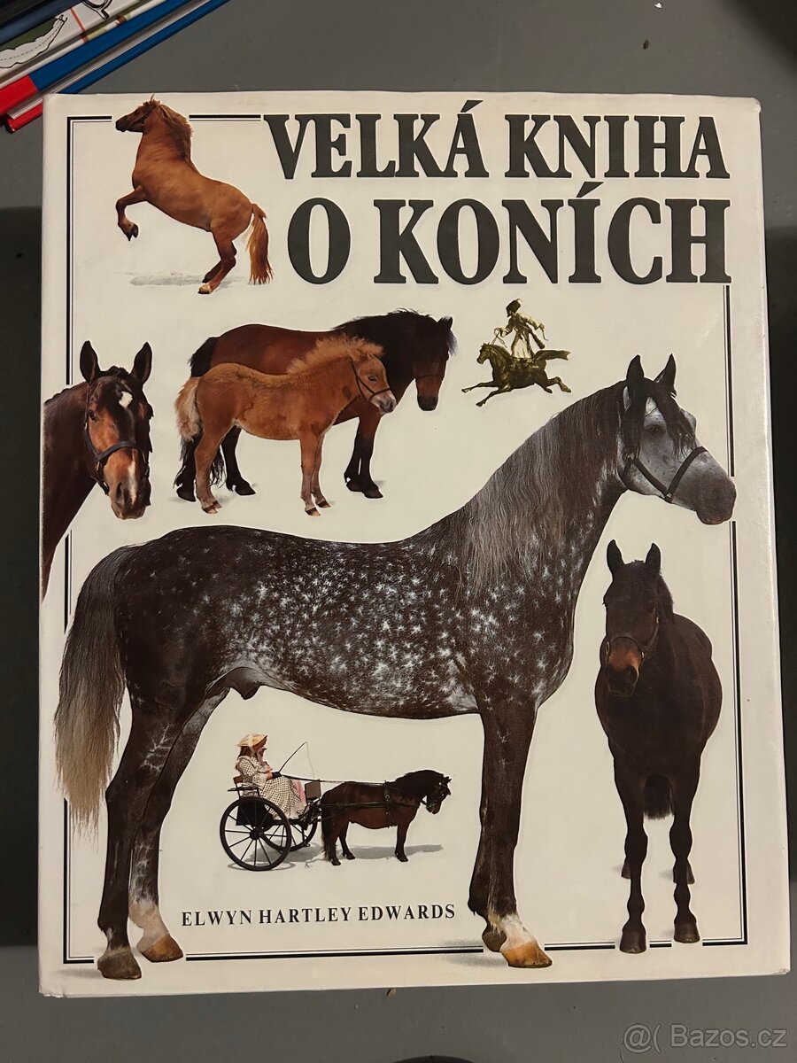 Velká kniha o koních