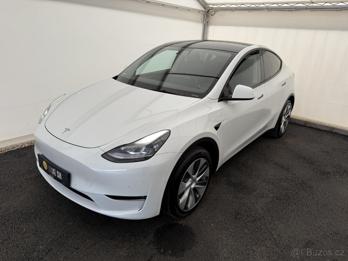 Tesla Model Y, Long Range AWD 1-MAJ DPH