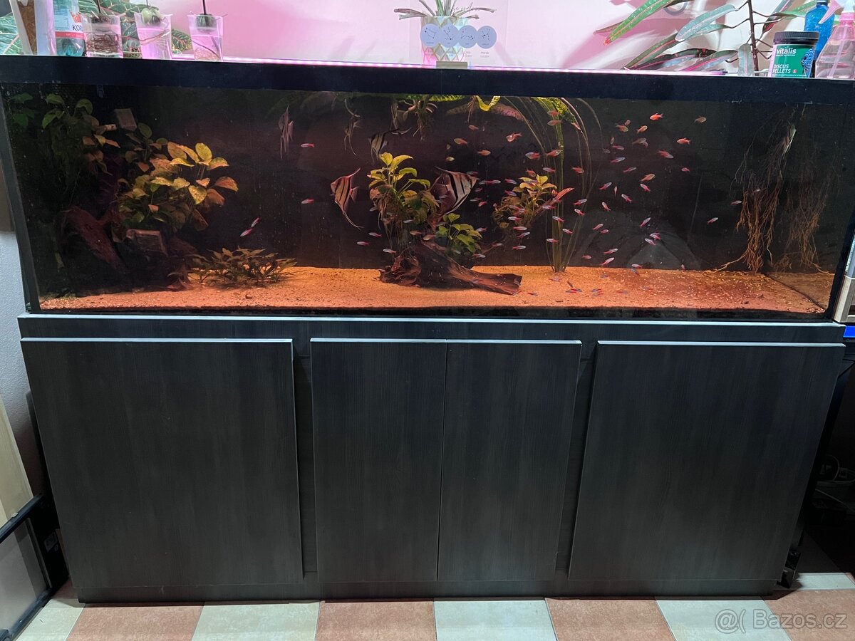 Akvarium 600l