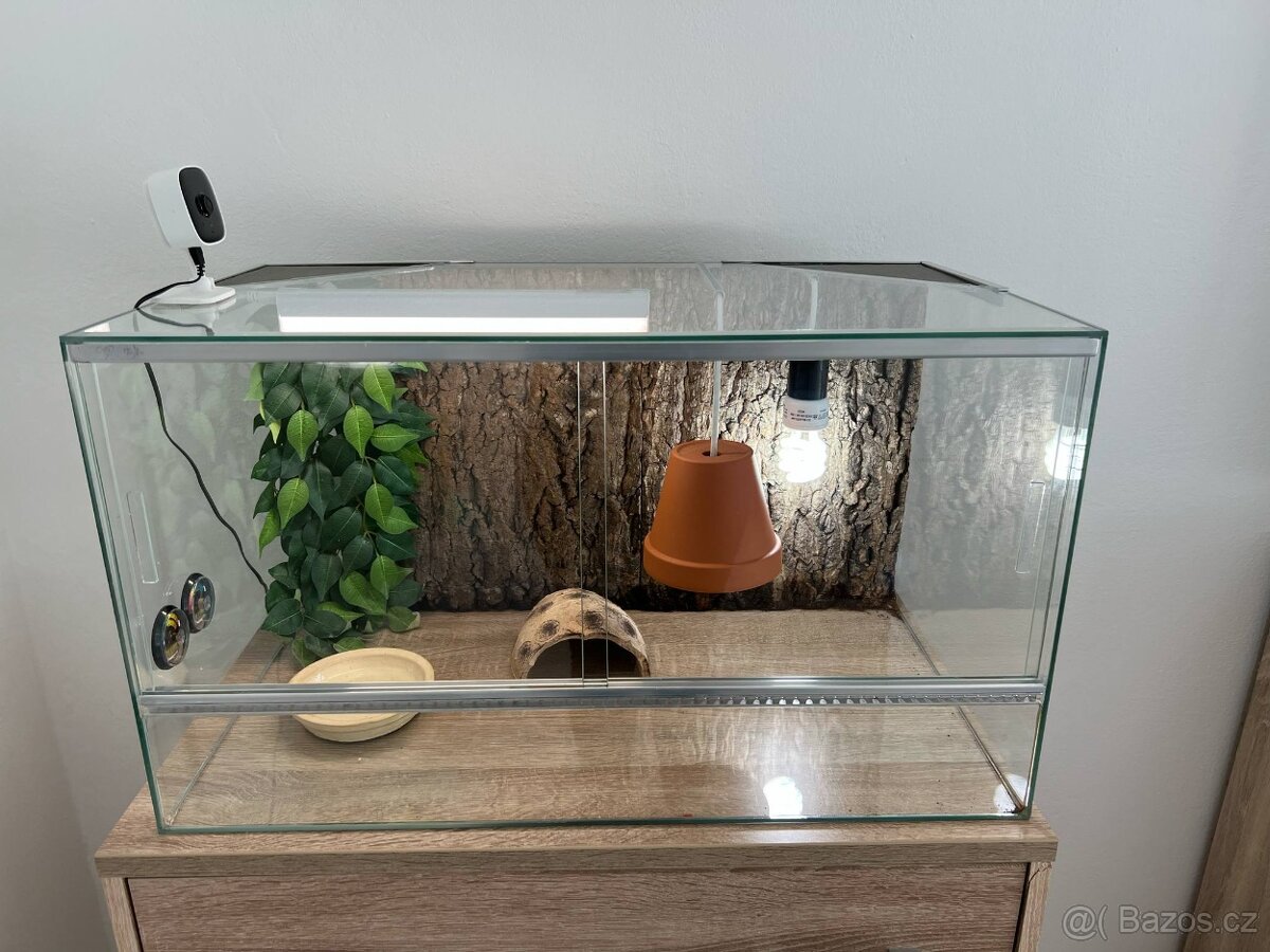 Terarium