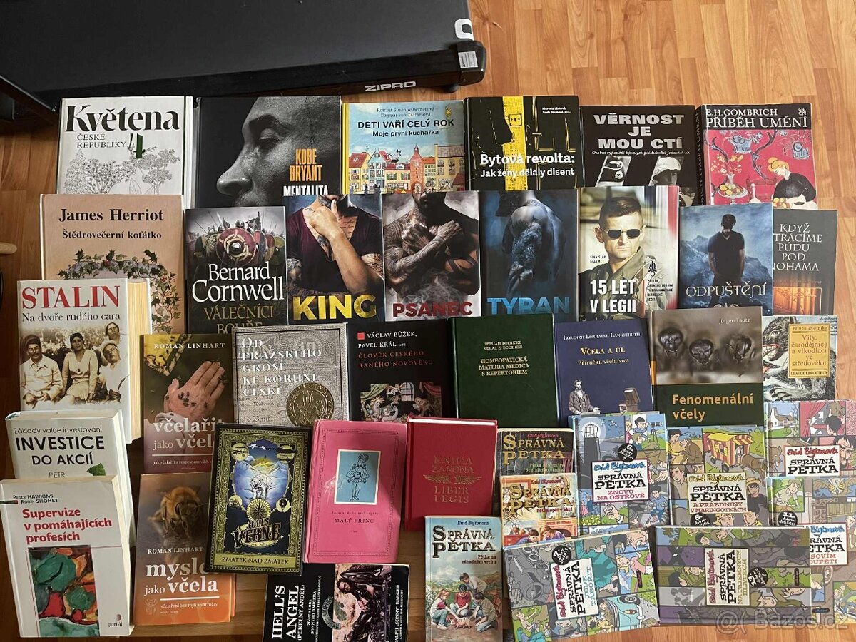 Mentalita mamby,Hipoterapie,Had Genese,This Man,Supervize